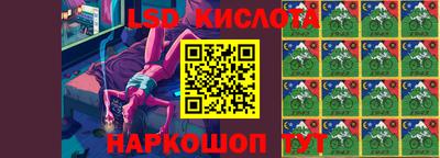 спайс Берёзовский