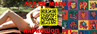 спайс Берёзовский