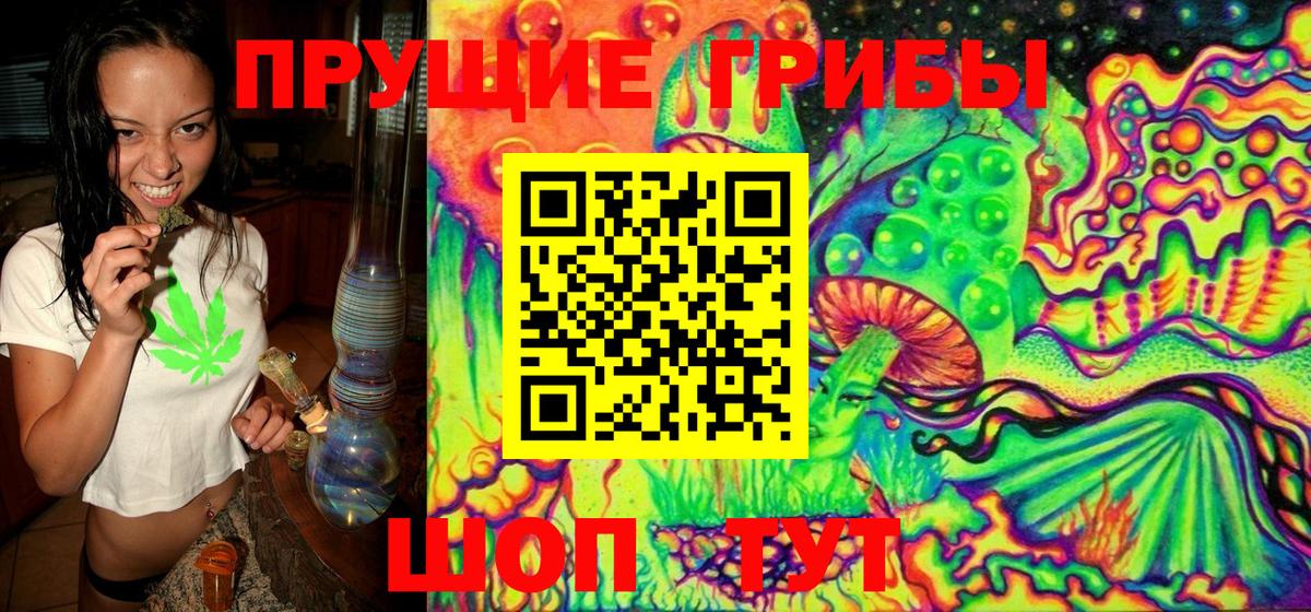 Гудермес  Галлюциногенные грибы ЛСД  Галлюциногенные грибы MAGIC MUSHROOMS  Вход с VPN 